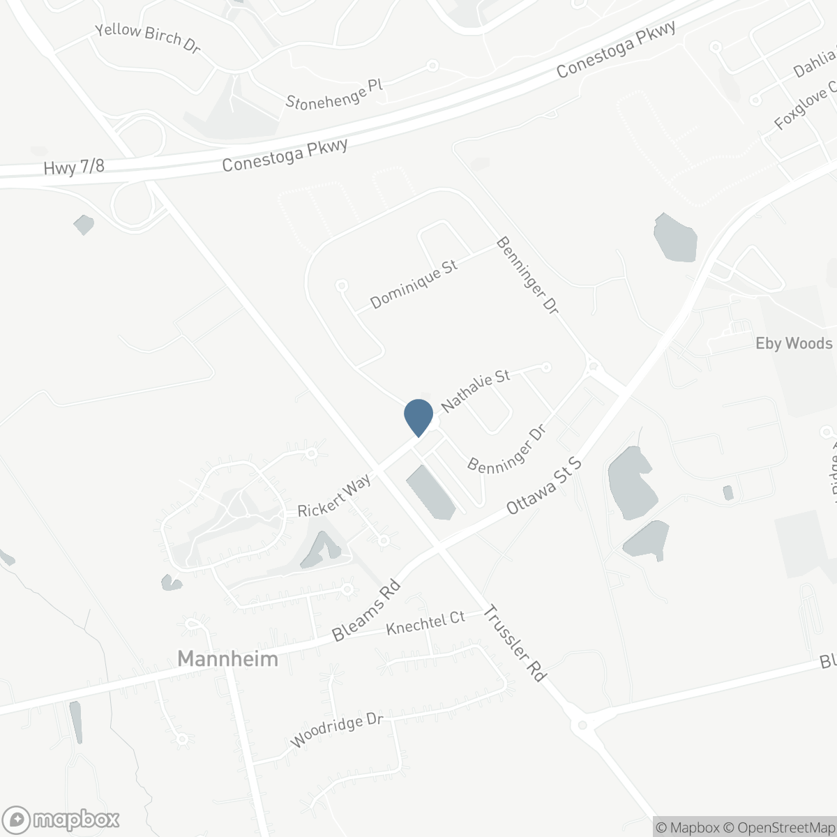 546 BENNINGER Drive, Kitchener, Ontario N2E 0E9